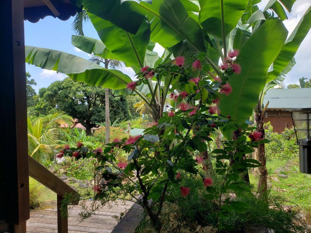 Les Bananes Vertes Ecolodges Saint-Claude Kültér fotó