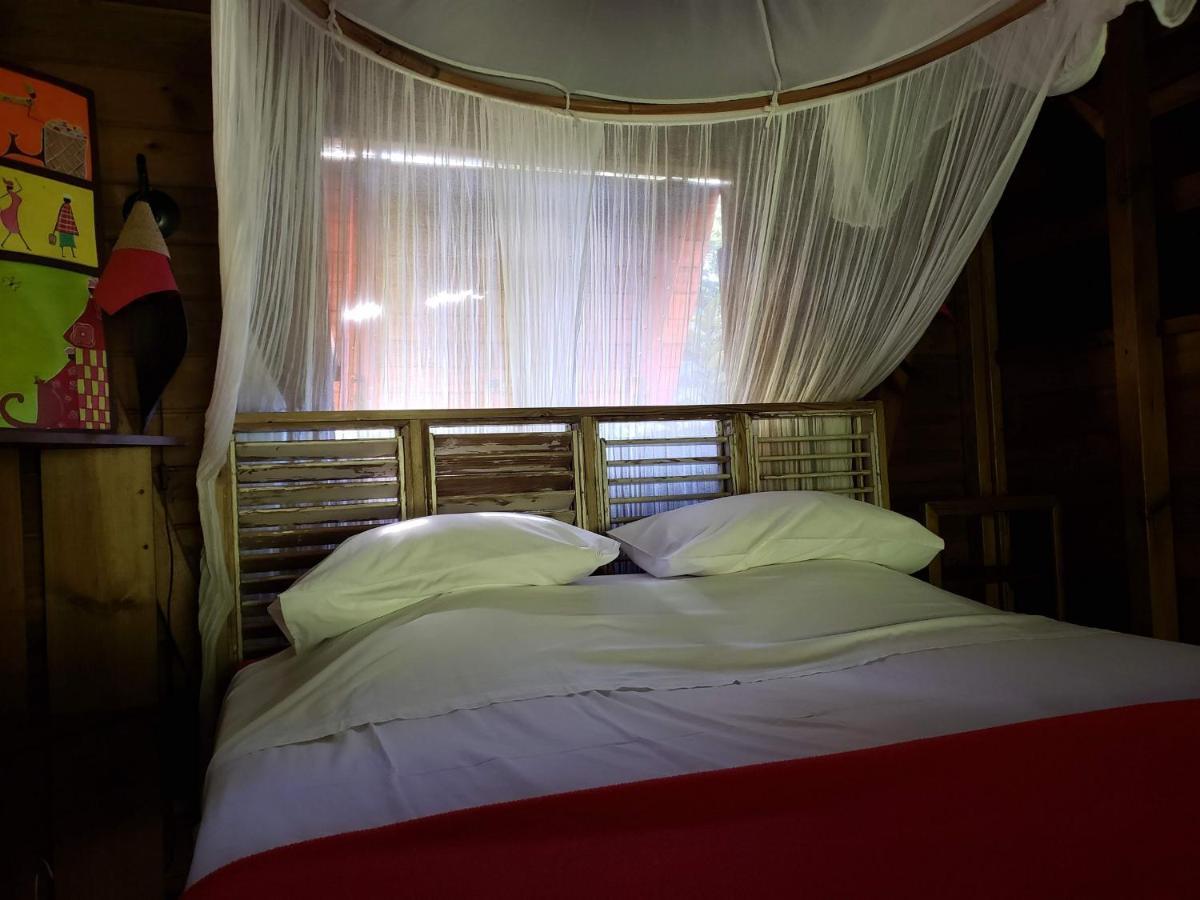Les Bananes Vertes Ecolodges Saint-Claude Kültér fotó