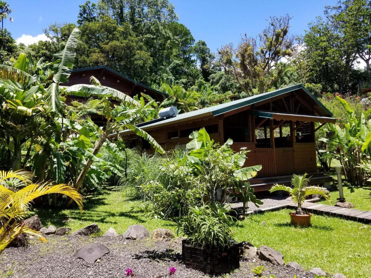 Les Bananes Vertes Ecolodges Saint-Claude Kültér fotó