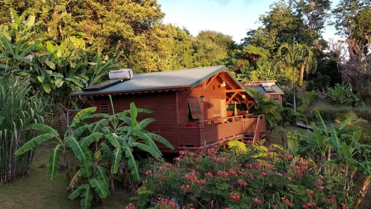 Les Bananes Vertes Ecolodges Saint-Claude Kültér fotó