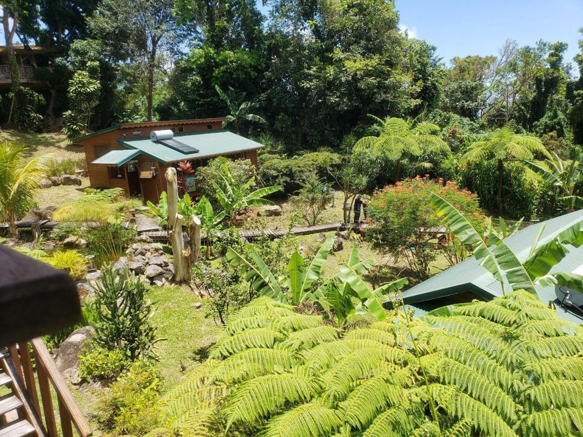 Les Bananes Vertes Ecolodges Saint-Claude Kültér fotó