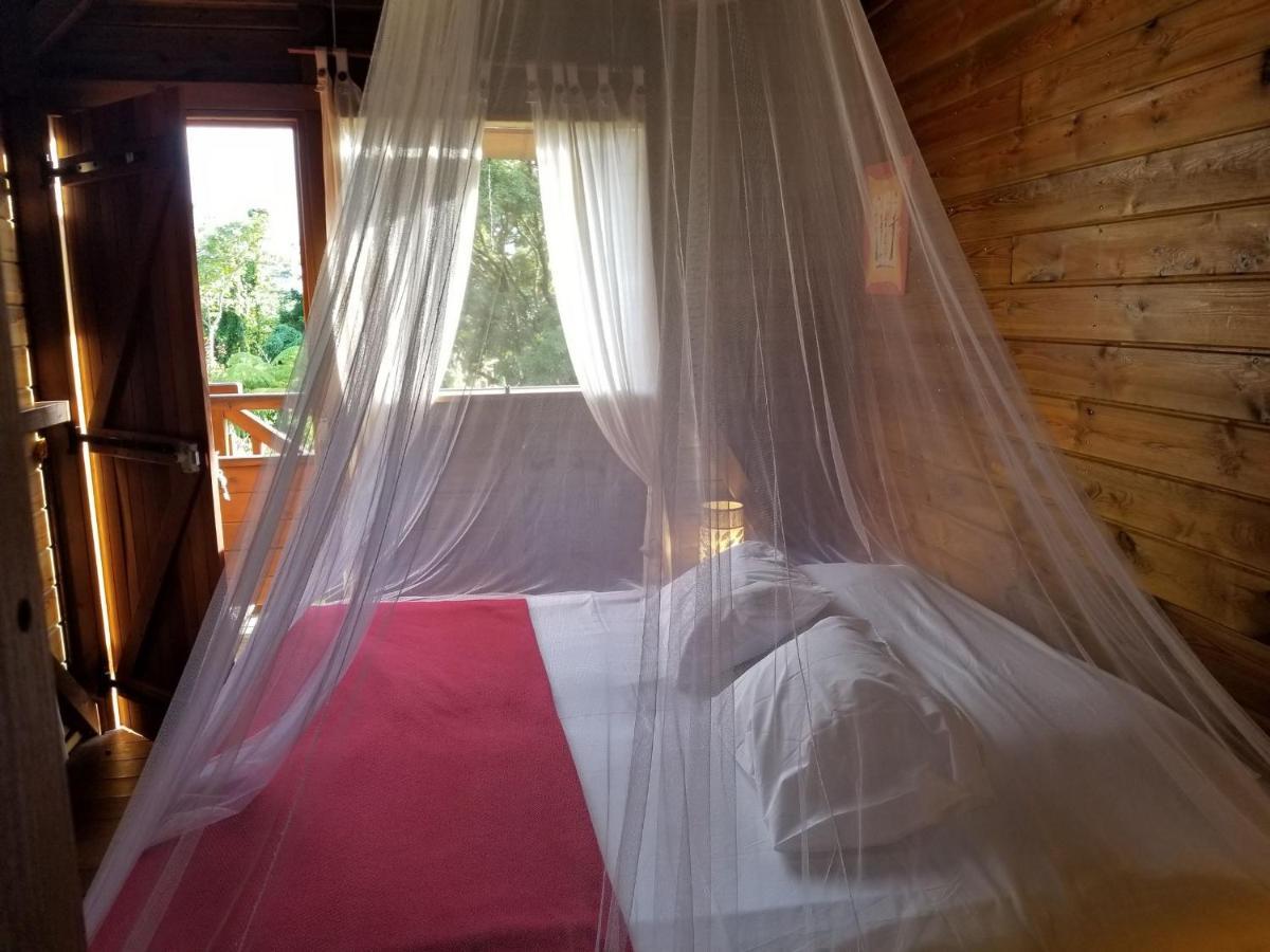 Les Bananes Vertes Ecolodges Saint-Claude Kültér fotó