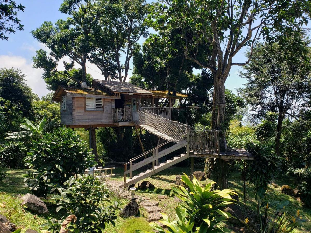 Les Bananes Vertes Ecolodges Saint-Claude Kültér fotó