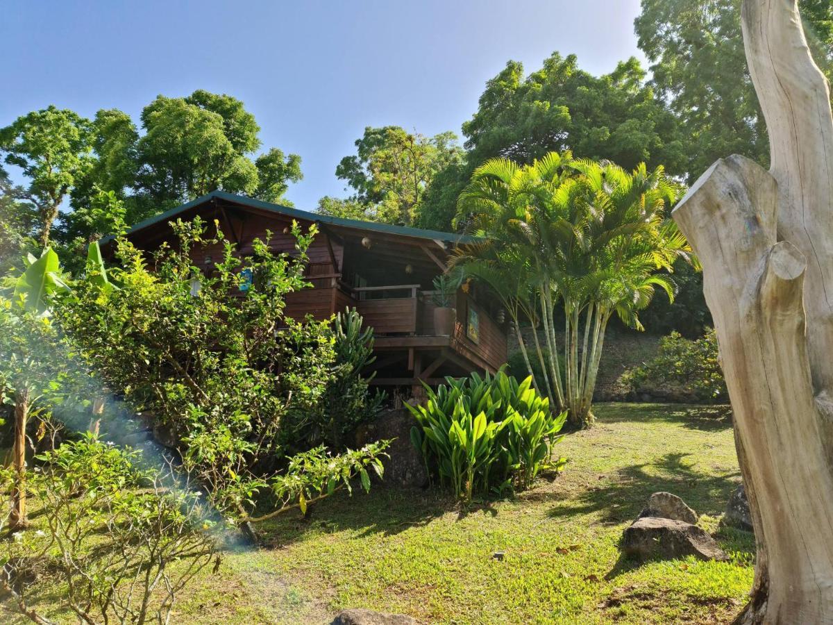 Les Bananes Vertes Ecolodges Saint-Claude Kültér fotó