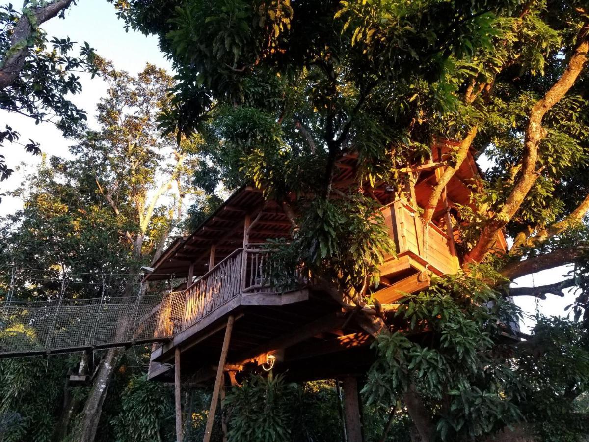 Les Bananes Vertes Ecolodges Saint-Claude Kültér fotó