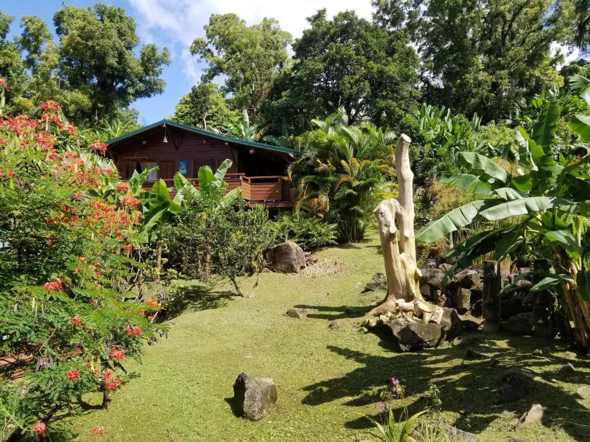 Les Bananes Vertes Ecolodges Saint-Claude Kültér fotó