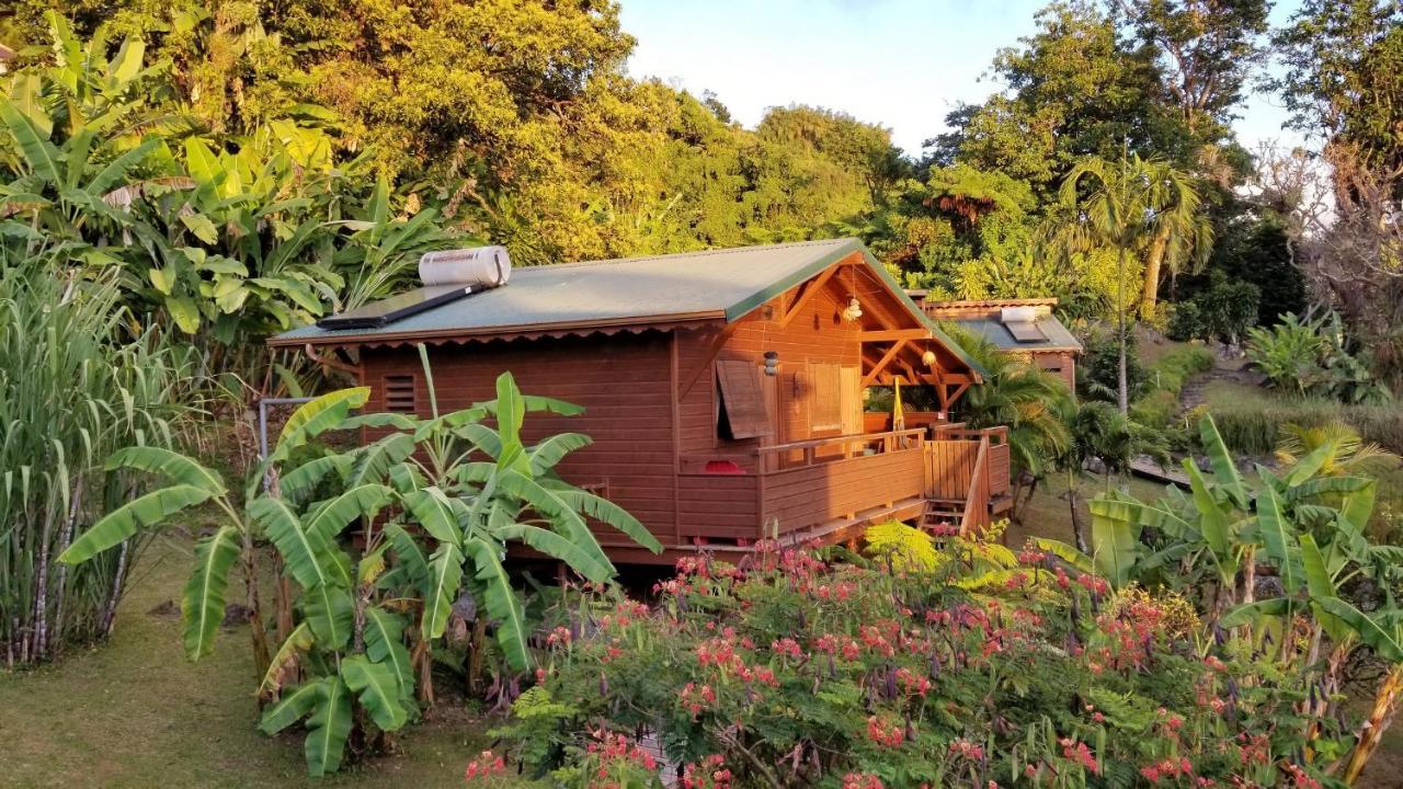 Les Bananes Vertes Ecolodges Saint-Claude Kültér fotó