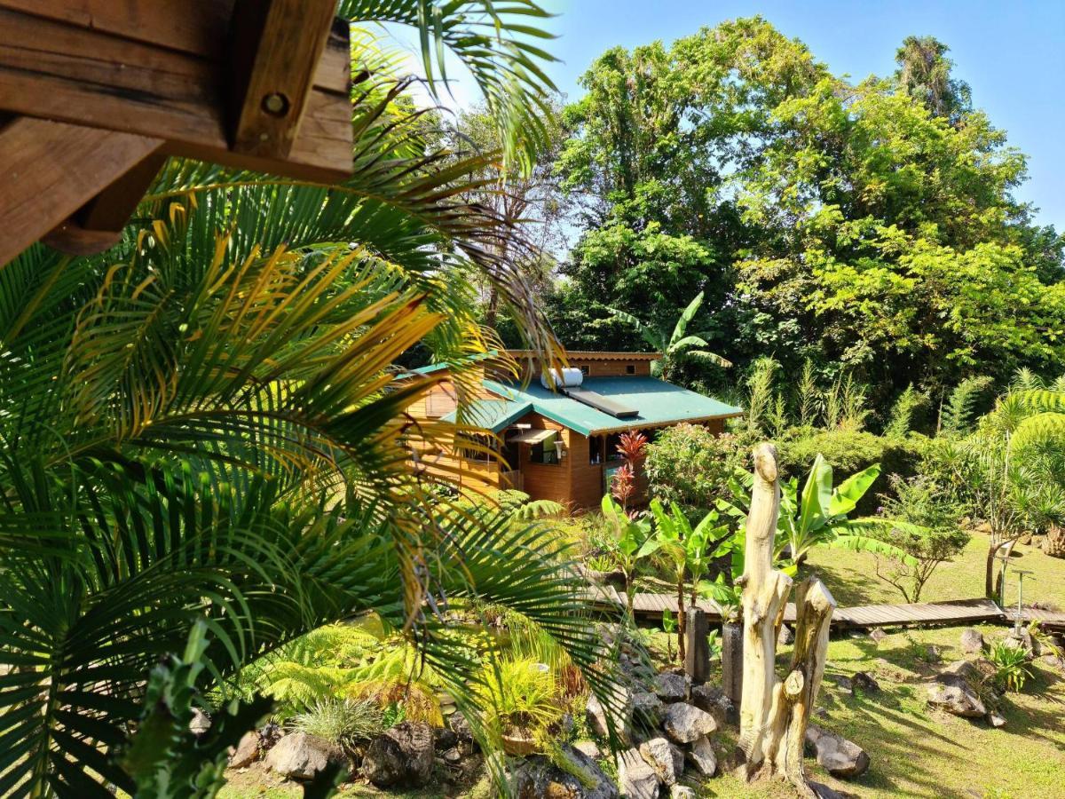 Les Bananes Vertes Ecolodges Saint-Claude Kültér fotó