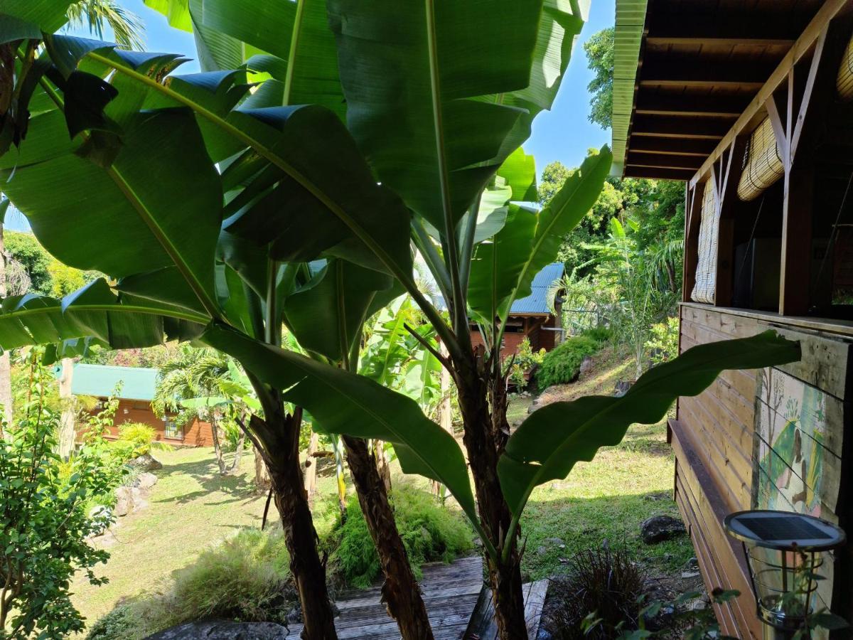 Les Bananes Vertes Ecolodges Saint-Claude Kültér fotó