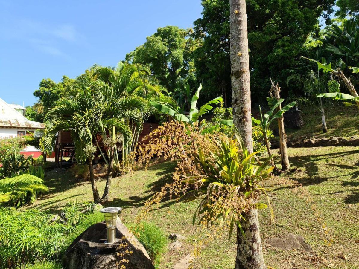 Les Bananes Vertes Ecolodges Saint-Claude Kültér fotó